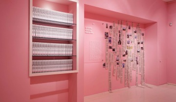 Operasyon Kamusal Alan, 2019