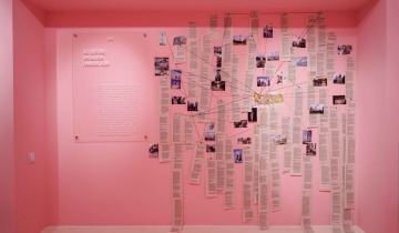 Operasyon Kamusal Alan, 2019