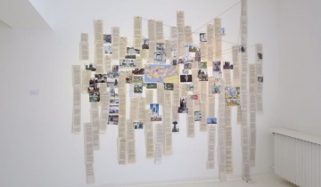 Operasyon Kamusal Alan, 2017