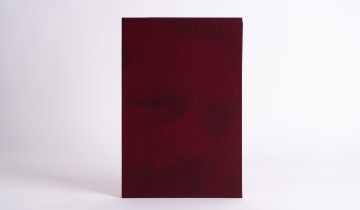 La Vie immédiate: Mehmet Nâzım