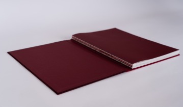 La Vie immédiate: Mehmet Nâzım